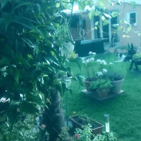 Apartment Dolce