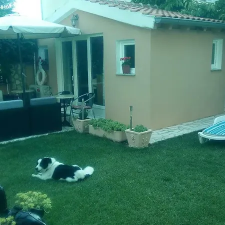 Dolce Apartment